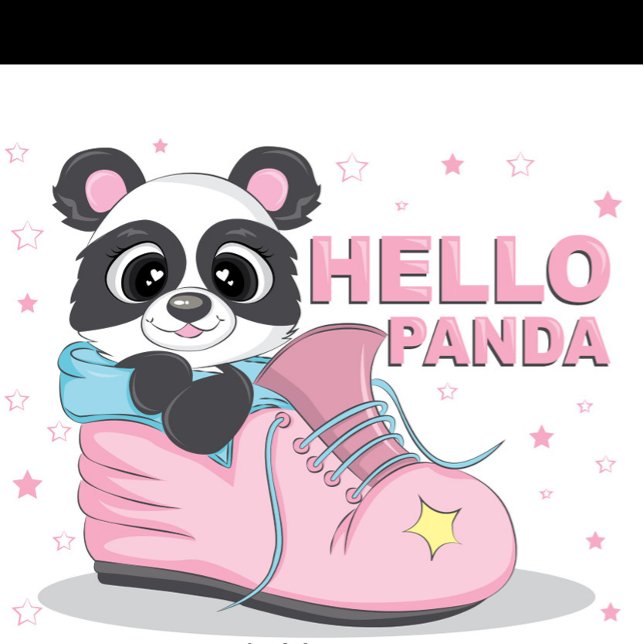 Hej Panda T Shirt (Illustration of a cartoon panda bear sitting inside a pink shoe with blue trim and laces!)