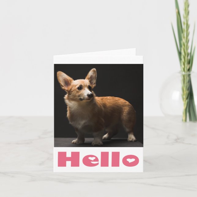 Hej Pembroke Corgi Puppy Hund Blank Note-kort Kort (Framsida)
