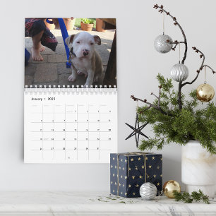Hej Pet Puppy Anpassningsbar 2021 Kalender