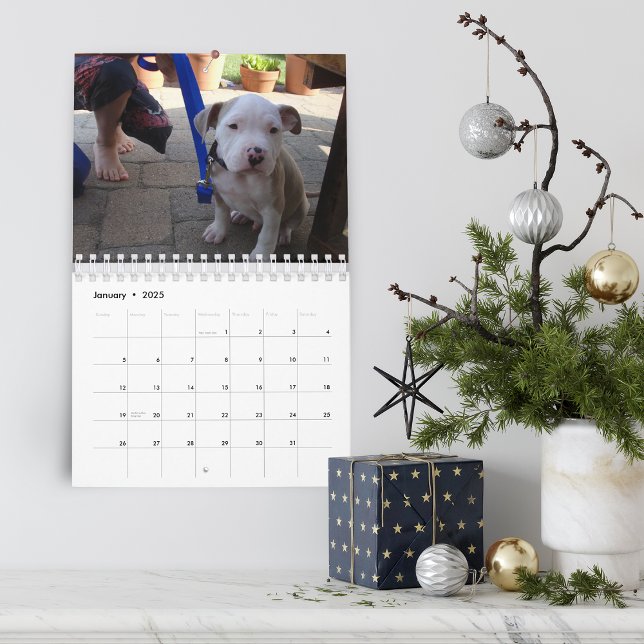 Hej Pet Puppy Anpassningsbar 2021 Kalender (Hello Pet Puppy Custom Calendar)