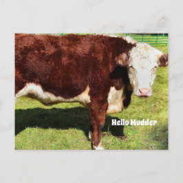Hej PostCard Vykort