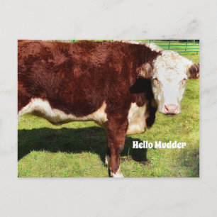 Hej PostCard Vykort