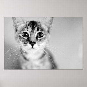 Hej Poster