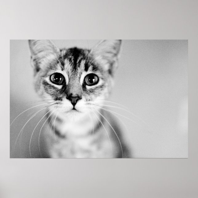 Hej Poster (Framsidan)