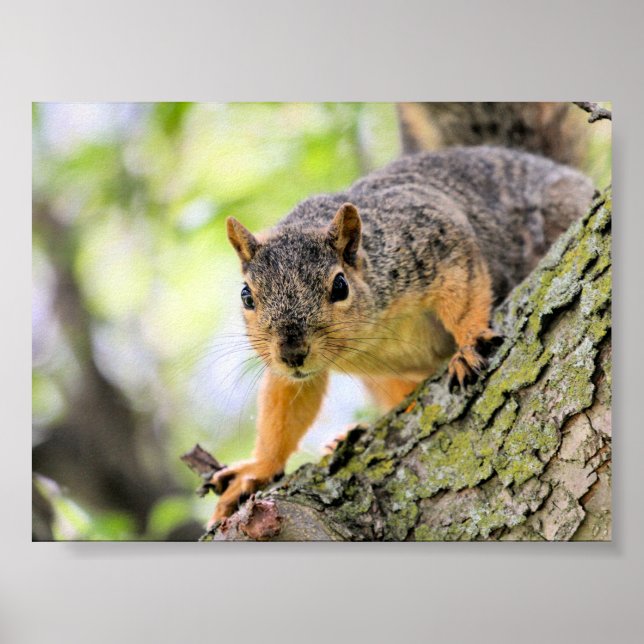 Hej Poster (Framsidan)