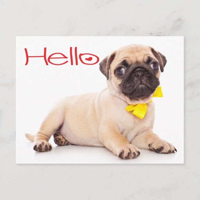 Hej Pug Puppy Hund Hälsning vykort (Framsida)