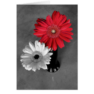 Hej Red Färg Stänk Gerber Daisy Photo Hälsningskort