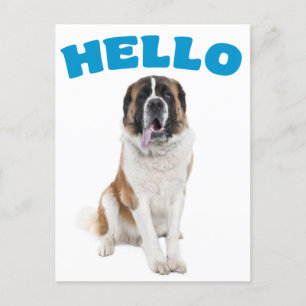 Hej Saint Bernard Puppy Hund Blue Postcard Vykort