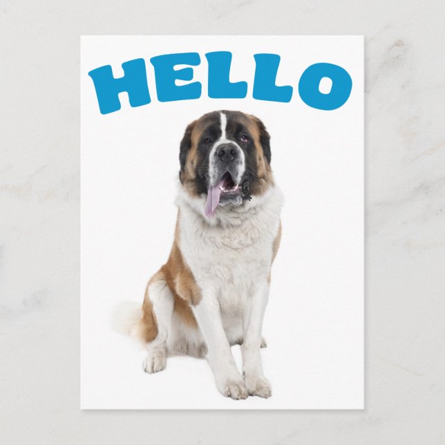 Hej Saint Bernard Puppy Hund Blue Postcard Vykort (Framsida)