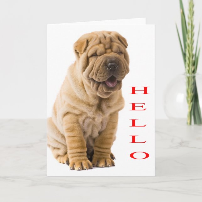Hej Shar Pei Puppy Hund Blanka kort (Framsida)