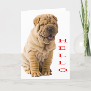 Hej Shar Pei Puppy Hund Blanka kort