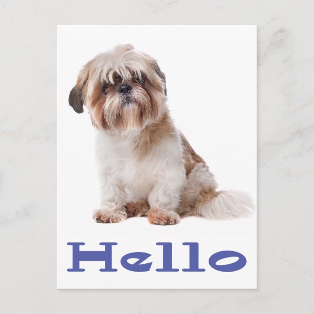 Hej Shih Tzu Puppy Hund - tänka på dig, vän Vykort (Framsida)