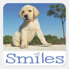 Hej Smiles Gult Labrador Retriever Puppy Hund Fyrkantigt Klistermärke