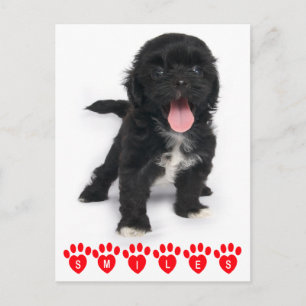 Hej Smiles Shih Tzu Black and White Puppy Hund Vykort