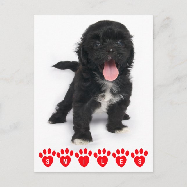 Hej Smiles Shih Tzu Black and White Puppy Hund Vykort (Framsida)