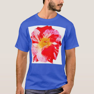 Hej Soul Sister T Shirt