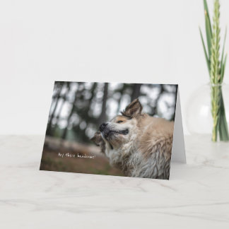 Hej, stilig!kort kort