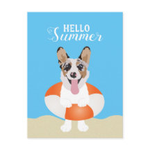 Hej Summer Corgi Beach Hundar