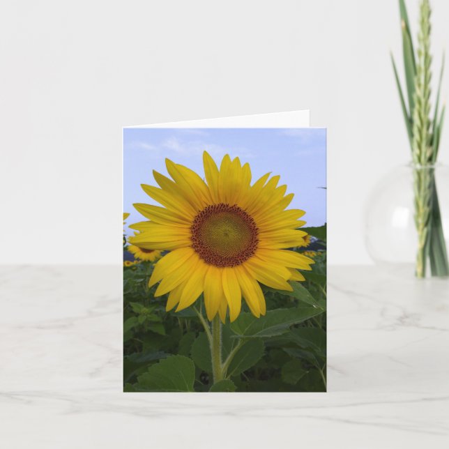 Hej Sunshine Note Card Tack Kort (Framsida)