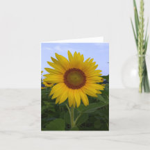 Hej Sunshine Note Card