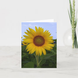 Hej Sunshine Note Card Tack Kort