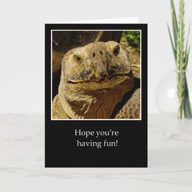 Hej till Camper Smiling Turtle Kort (Framsida)