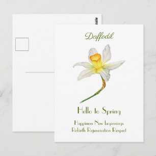 Hej till vår daffodil-vykort vykort