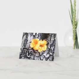 Hej tom hälsningskort med gul Allamanda Tack Kort
