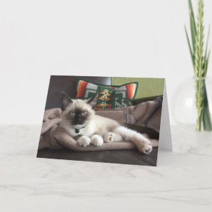 Hej vacker siamesisk kattunge som tänker på dig kort