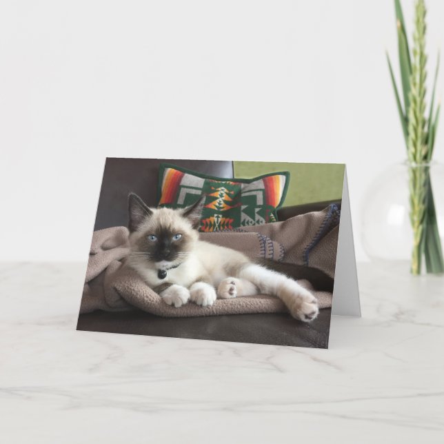 Hej vacker siamesisk kattunge som tänker på dig kort (Framsida)