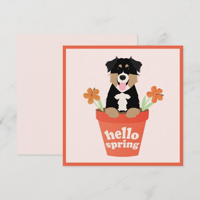 Hej Vår Australian shepherd Hund i blomkruka Kort (Fram/baksida)