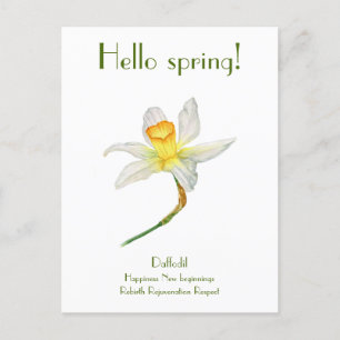 Hej vår daffodil med vykort