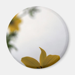 Hej Vår Gula blommor Magnet