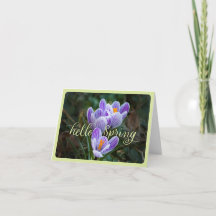 "Hej Vår" och CrocusFolded Greeting Card