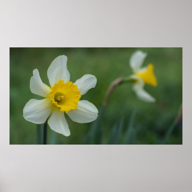 Hej Vår! Poster (Framsidan)