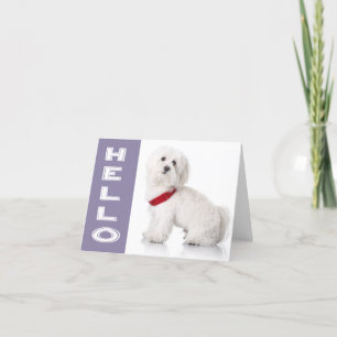 Hej Vitt maltesiskt Puppy Hund Blank Note Card Kort