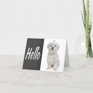 Hej Vitt maltesiskt puppy-Hund-kort Kort