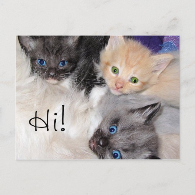 Hej! Vykort (Framsida)