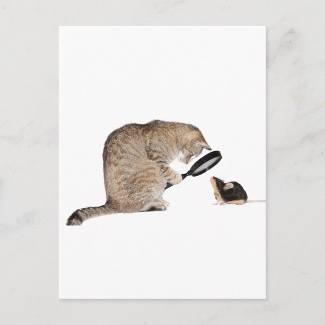 Hej? Vykort (Framsida)