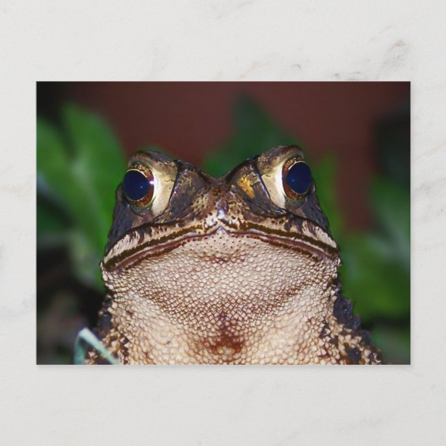 Hej! vykort (Framsida)