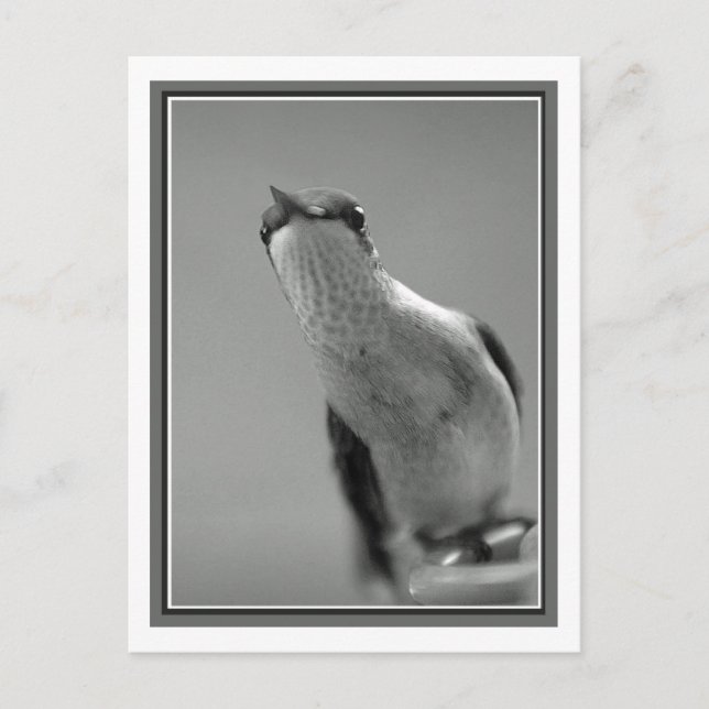 Hej Vykort (Framsida)