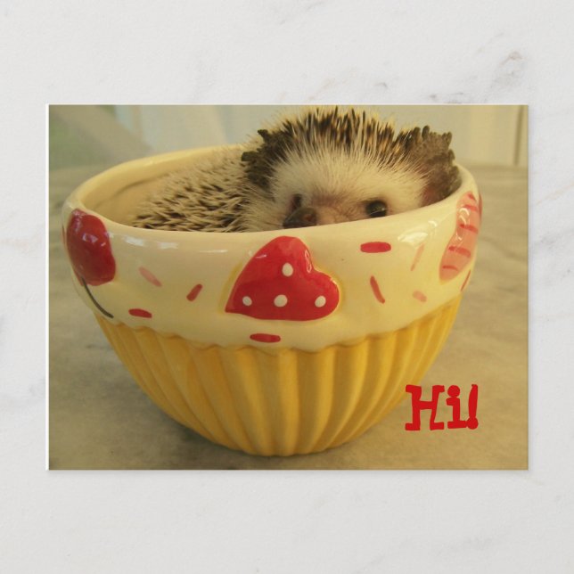 Hej! Vykort (Framsida)