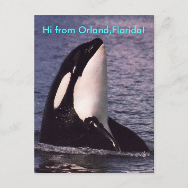 Hej Vykort (Framsida)