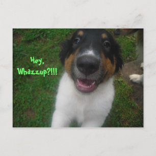 Hej, Whazzup!!!! Vykort