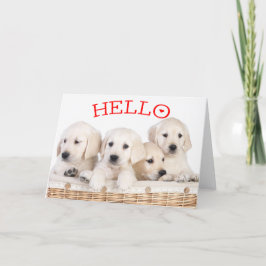 Hej White Labrador Retriever Puppy Hund Red Heart Kort