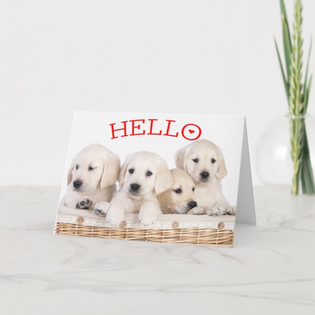 Hej White Labrador Retriever Puppy Hund Red Heart Kort (Framsida)