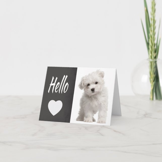 Hej White Maltese Puppy Hund Chalkboard Note Card Kort (Framsida)