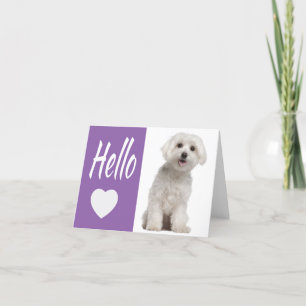 Hej White Maltese Puppy Hund Lila Heart Notecar Kort