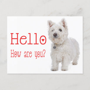 Hej White Väster Highland Terrier Puppy Hund Vykort