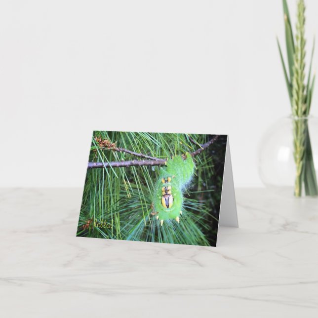 hejcaterpillarnotecard kort (Framsida)